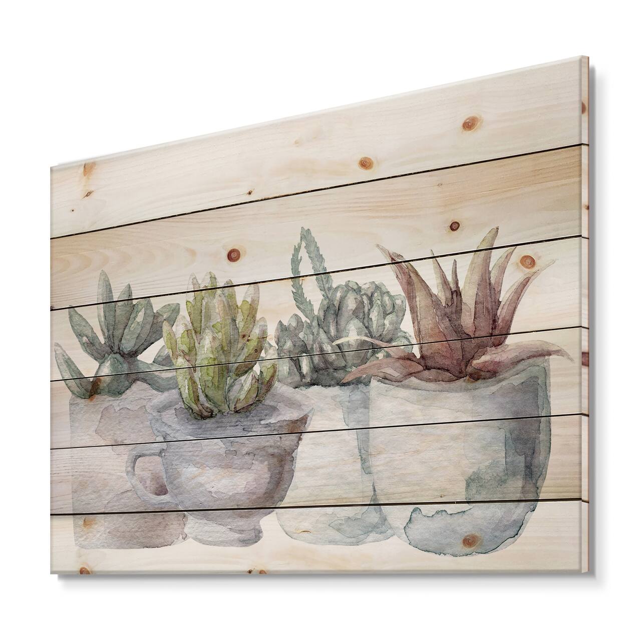Designart - Cactus and Succulent House Plants IV - Botanical Print on Natural Pine Wood